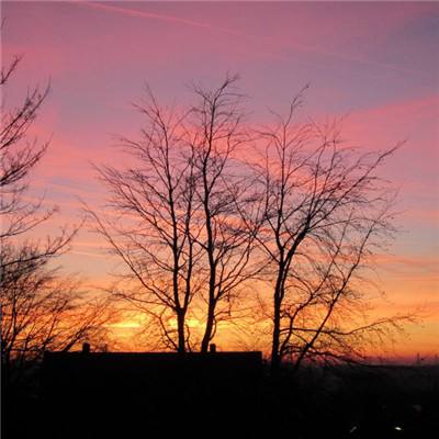 Kaiyun(云开)体育App(官方)手机app下载